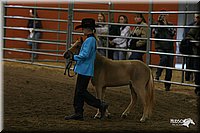 4H-State-Show-2005-0436.jpg