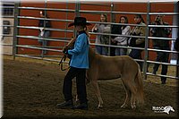 4H-State-Show-2005-0437.jpg