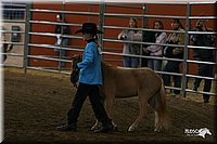 4H-State-Show-2005-0438.jpg