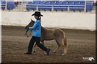 4H-State-Show-2005-0441.jpg