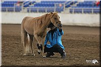 4H-State-Show-2005-0453.jpg