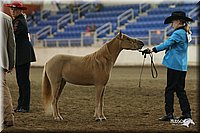 4H-State-Show-2005-0454.jpg