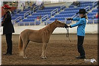 4H-State-Show-2005-0455.jpg