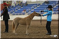 4H-State-Show-2005-0456.jpg