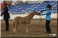 4H-State-Show-2005-0457.jpg