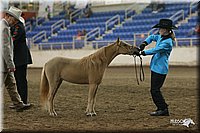 4H-State-Show-2005-0458.jpg