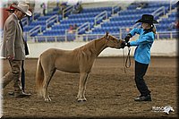 4H-State-Show-2005-0459.jpg