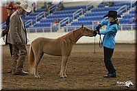 4H-State-Show-2005-0460.jpg