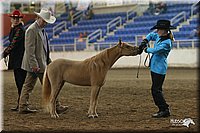 4H-State-Show-2005-0461.jpg