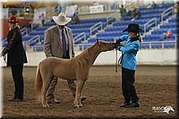 4H-State-Show-2005-0462.jpg