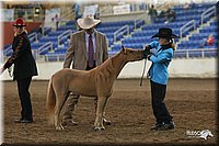 4H-State-Show-2005-0463.jpg