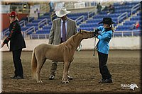 4H-State-Show-2005-0464.jpg