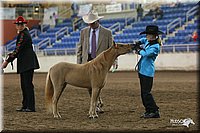 4H-State-Show-2005-0465.jpg