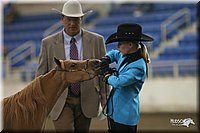 4H-State-Show-2005-0466.jpg