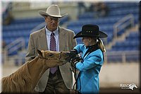 4H-State-Show-2005-0468.jpg