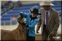 4H-State-Show-2005-0469.jpg