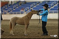 4H-State-Show-2005-0471.jpg