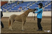 4H-State-Show-2005-0472.jpg