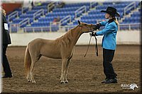 4H-State-Show-2005-0473.jpg