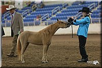 4H-State-Show-2005-0474.jpg