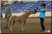 4H-State-Show-2005-0475.jpg