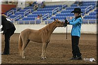 4H-State-Show-2005-0476.jpg