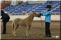 4H-State-Show-2005-0477.jpg