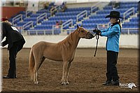 4H-State-Show-2005-0478.jpg