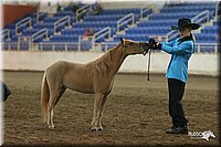 4H-State-Show-2005-0479.jpg