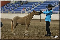 4H-State-Show-2005-0481.jpg