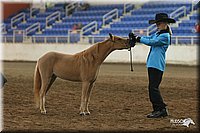 4H-State-Show-2005-0482.jpg