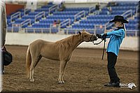 4H-State-Show-2005-0483.jpg