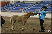 4H-State-Show-2005-0484.jpg