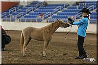 4H-State-Show-2005-0485.jpg