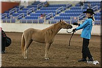 4H-State-Show-2005-0486.jpg