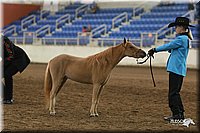 4H-State-Show-2005-0487.jpg