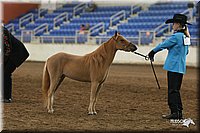 4H-State-Show-2005-0488.jpg