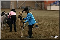 4H-State-Show-2005-0489.jpg