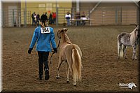 4H-State-Show-2005-0496.jpg