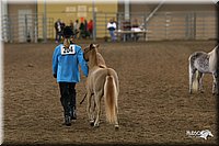 4H-State-Show-2005-0497.jpg