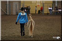 4H-State-Show-2005-0498.jpg