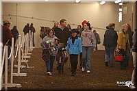 4H-State-Show-2005-0503.jpg