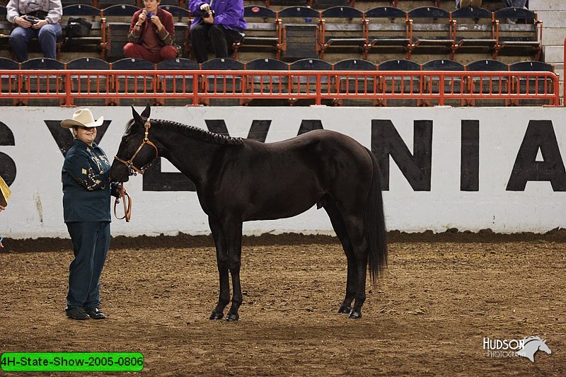 4H-State-Show-2005-0806.jpg