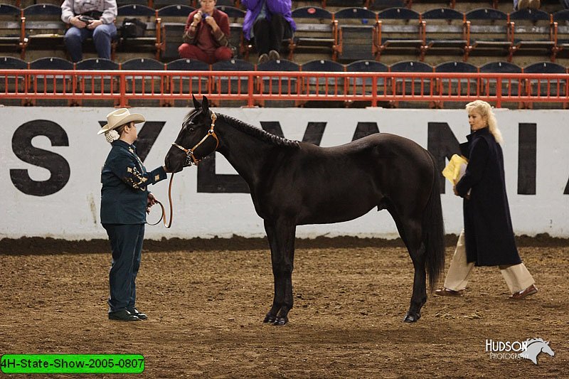 4H-State-Show-2005-0807.jpg