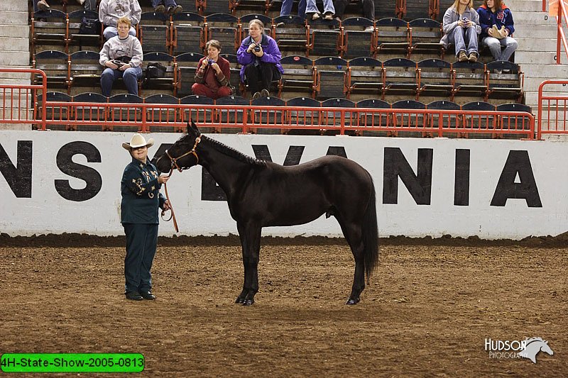 4H-State-Show-2005-0813.jpg