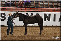 4H-State-Show-2005-0814.jpg