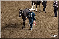 4H-State-Show-2005-0815.jpg