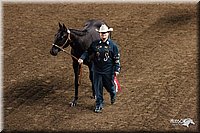 4H-State-Show-2005-0816.jpg