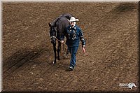 4H-State-Show-2005-0818.jpg