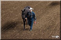 4H-State-Show-2005-0819.jpg